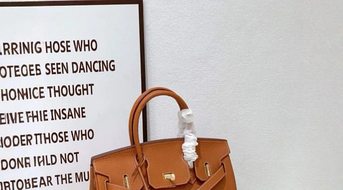 Walmart’s Birkin: A Luxury Look for Less?